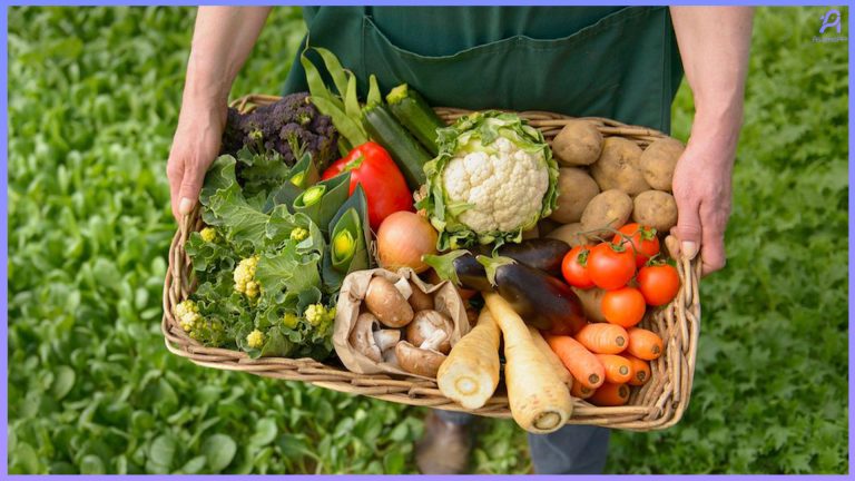 غذای اورگانیک