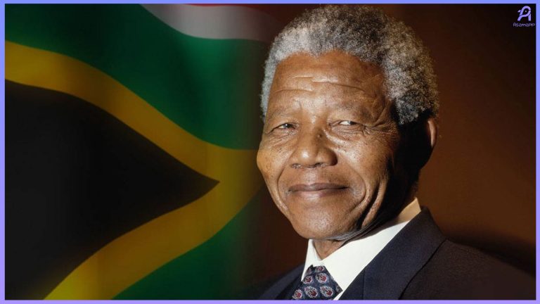 سالمندان موفق